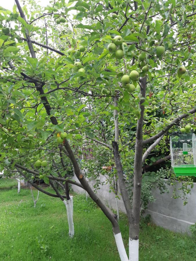 Andranik B&B Goris Εξωτερικό φωτογραφία