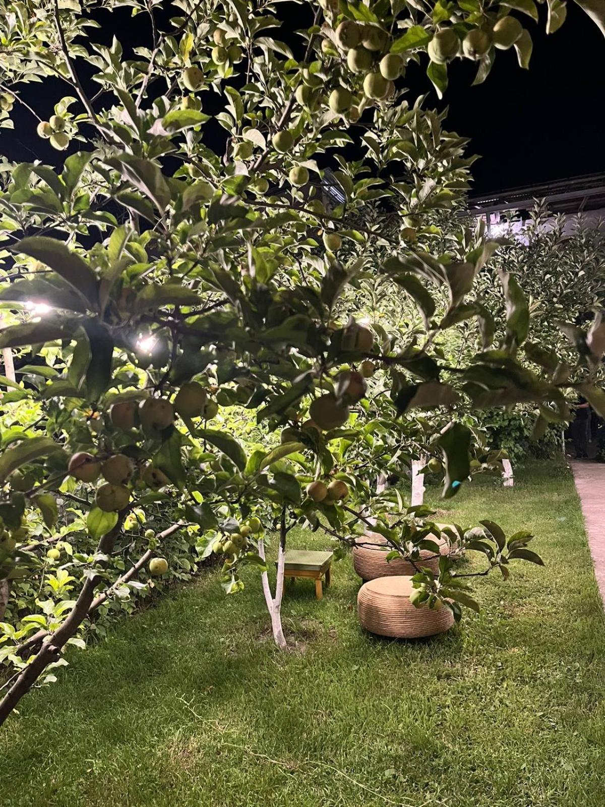 Andranik B&B Goris Εξωτερικό φωτογραφία